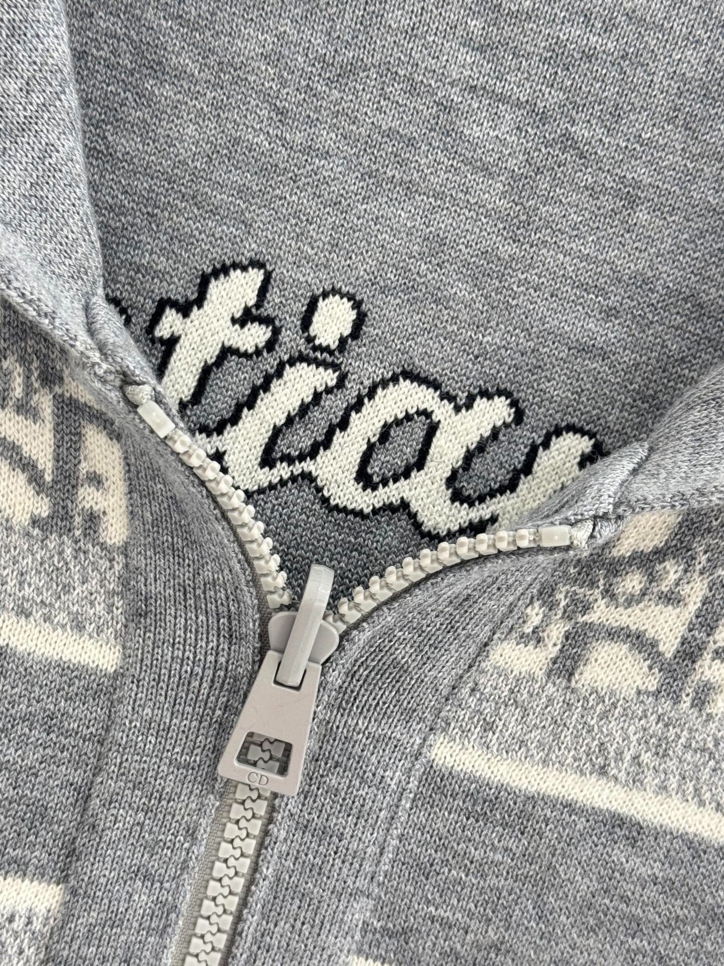 DIOR 25S ZIP-UP HOODIE 510