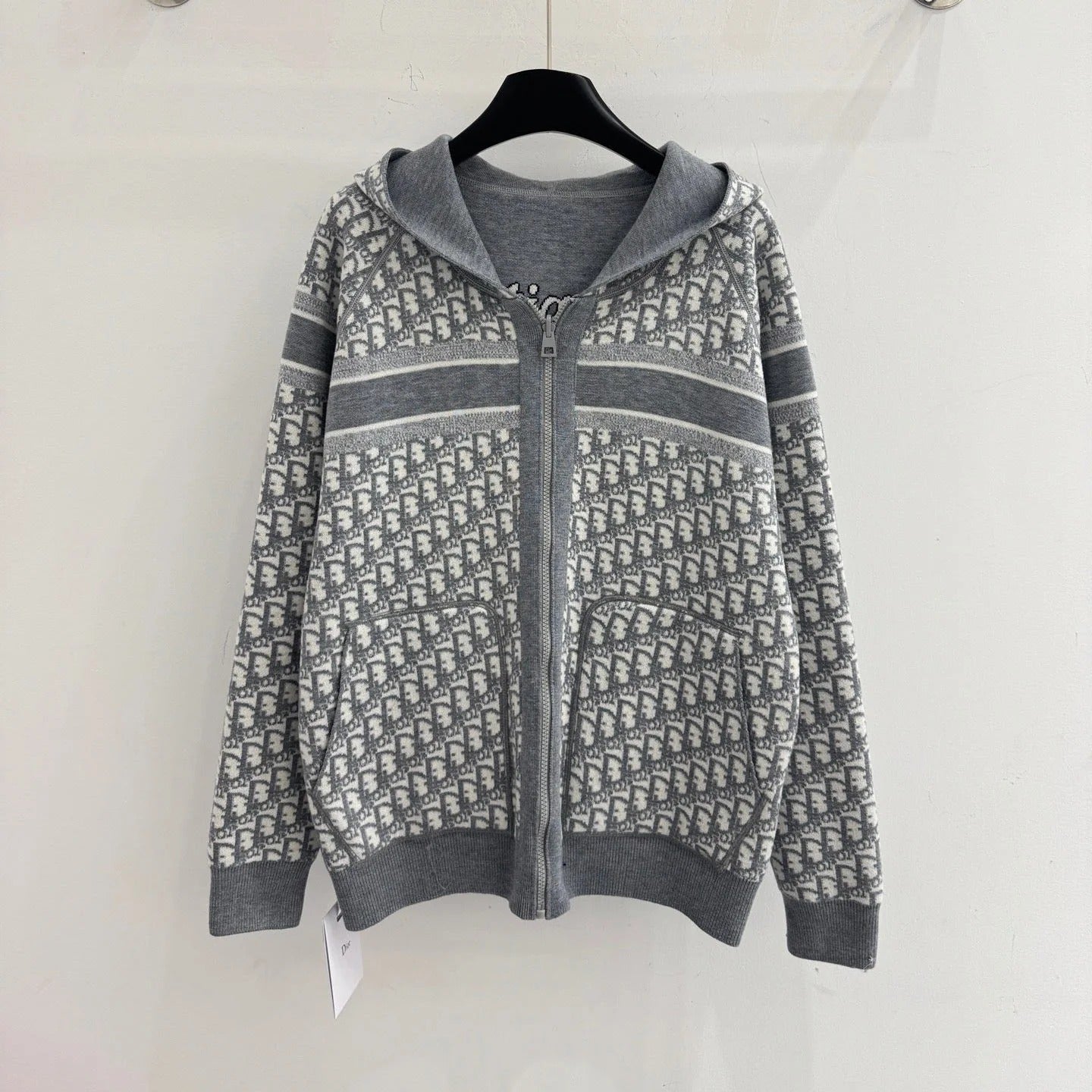 DIOR 25S ZIP-UP HOODIE 510
